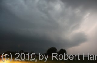 meso1