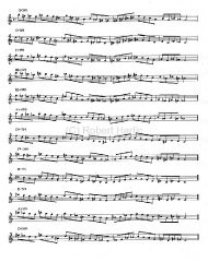 dim-wt-w-pentatonic-exercise