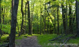 long-lake-trail_12