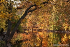 Grand Ledge