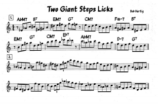 two-giant-steps-licks