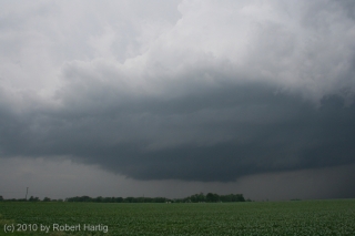 supercell-organizing