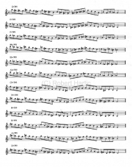 dim-wt-w-pentatonic-exercise