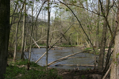 The beautiful Coldwater River borders the eastern side of the preserve.